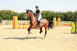 SBM_000093