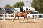 SBM_06710