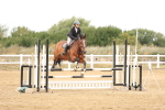SBM_023453