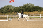 SBM_008668