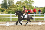 SBM_007689