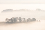 Early morning mist from the A53