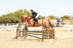 SBM_003991