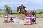 BPP_2399