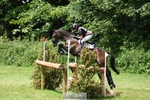 438-IRISH_TRUMP-Sarah_Bullimore-XC portfolio