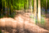 Ashridge Blur