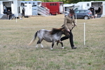 WJ6_6857