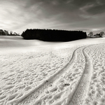 Track