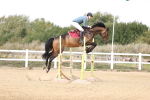 Class 11 - Senior Discovery - 1.00m portfolio