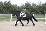 SBM_016734