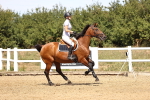 SBM_000845