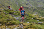 Kentmere-991