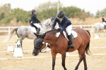 SBM_002844