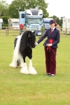 SBM_06353