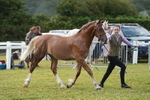 DSC04737