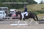 BPP_7953