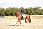 SBM_009342