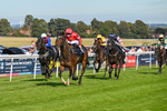 220926-Race 5-Go Victor-4357