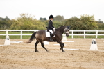 SBM_002604