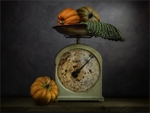 On the scales