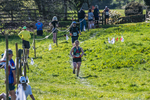 The Finish-2216