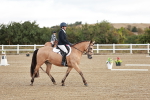 SBM_009065