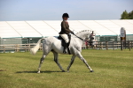 SBM_12925
