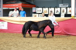 SBM_18435