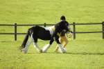 SBM_61028