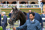 150526-Race 7-Portcullis-8941
