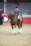 SBM_12686