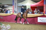SBM_15878