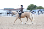 SBM_11229