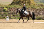 SBM_009861