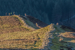 Grisedale-8