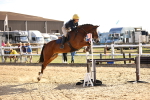 SBM_003259