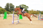 SBM_006966