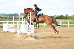 SBM_002993