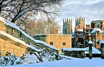 IMG_0826_2_3_2 SNOWY YORK  copy