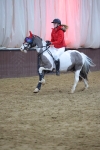 SBM_003904