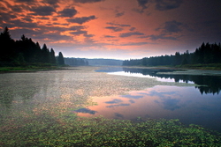 Allegheny National Forest portfolio
