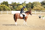 SBM_009932