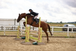 SBM_026819