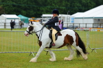 SBM_00952
