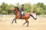 SBM_026966