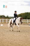 SBM_006567