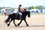 SBM_08938