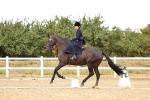 SBM_004624