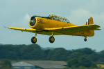 T6  Harvard