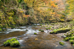 Afon Mellte Colours
